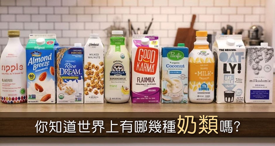 食物小知識:  你知道世界上有哪幾種 “奶類”嗎?